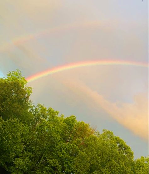 Spring Aesthetic Simple, Spring Rainbow, Summer Aesthetic Moodboard, Happycore Aesthetic, My Vibe Aesthetic Colour, April Aesthetic Rain, April Mood Board Aesthetic, Summer Aesthetic Green, Green Spring Aesthetic