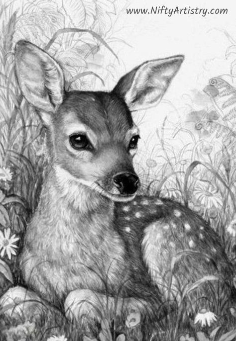 Deer Sketch, Tre Kunst, Realistic Animal Drawings, Deer Drawing, Pencil Drawings Of Animals, Animal Drawings Sketches, White Drawing, Deer Art, A Deer