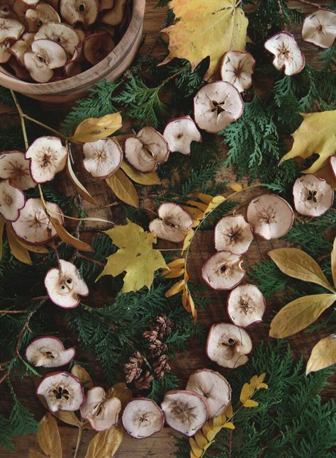 Learn how to make a dried apple garland that is perfect for a fall mantel, and looks good with Christmas greenery too! #driedapples #homedecor Dried Apple Garland Diy, Dried Apple And Orange Garland, Apple Garland Diy, Dried Apple Decorations, How To Make Dried Apple Slices, Christmas Fruit Garland, Dried Fruit Christmas Garland, Dehydrated Fruit Garland, Diy Cranberry Garland