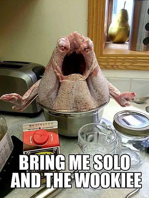 best thanksgiving memes Happy Thanksgiving Memes, Funny Thanksgiving Pictures, Funny Thanksgiving Memes, Thanksgiving Meme, Thanksgiving Jokes, Happy Thanksgiving Images, Thanksgiving Pictures, Awkward Family Photos, Thanksgiving Images