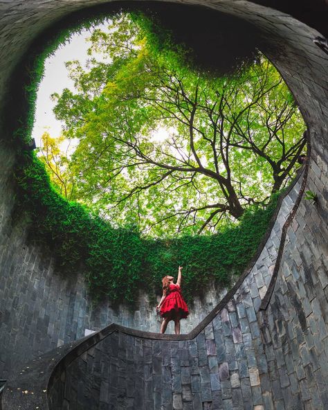 Travel & Lifestyle I Singapore on Instagram: “Discover Singapore 🇸🇬 l  Fort Canning Park⁣ ⁣ Singapore best instagram places 2019 edition is here! 28 amazing places including the new…” Art Science Museum, Singapore Photos, Instagram Places, Indoor Waterfall, Ig Profile, Best Instagram Photos, Most Instagrammable Places, Hill Park, Chinese Garden