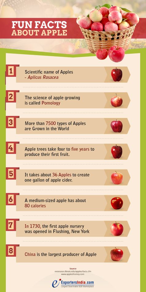 There are many facts about #apples that make it such beneficial. Read on to know some surprising facts about #applefruit. #Apple Fruit #Agriculture #ExportersIndia Apple Nursery, Types Of Apples, Apple Facts, Interesting Fun Facts, Top 10 Healthy Foods, 10 Healthy Foods, An Apple A Day, Eat Slowly, Apple A Day