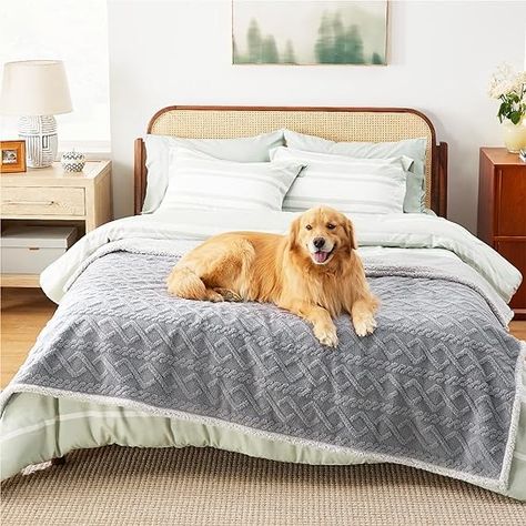 Amazon.com: Bedsure Waterproof Dog Blankets for Large Dogs - Pet Blanket for Bed Couch Protector Washable, Premium Jacquard Coral Fleece Cat Throw Blanket, Soft Plush Reversible Furniture Protection, 60x80, Grey : Pet Supplies Couch Protector, Waterproof Blanket, Couch Bed, Dog Blanket, Bed Blanket, Furniture Covers, Large Dogs, Soft Plush, Pet Dogs