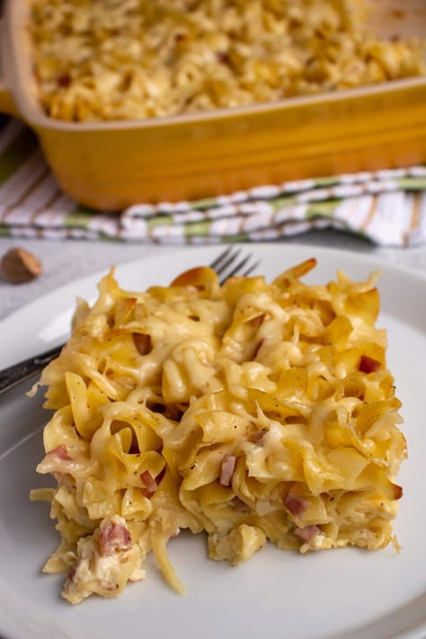 Cheesy Ham And Noodle Casserole, Noodle Dessert Recipes, Ham And Cheese Noodle Casserole, Easy Noodle Casserole Recipes, German Egg Noodles Dishes, International Casserole Recipes, German Egg Noodles, German Noodle Casserole, German Noodle Recipes