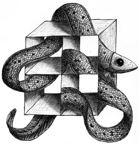 I Draw Optical Illusions Featuring Different Animals Draw Optical Illusions, Figure Ground Perception, Optical Illusions Drawings, Impossible Shapes, Figure Ground, Illusion Drawings, Different Animals, Draw Animals, Visual Illusion