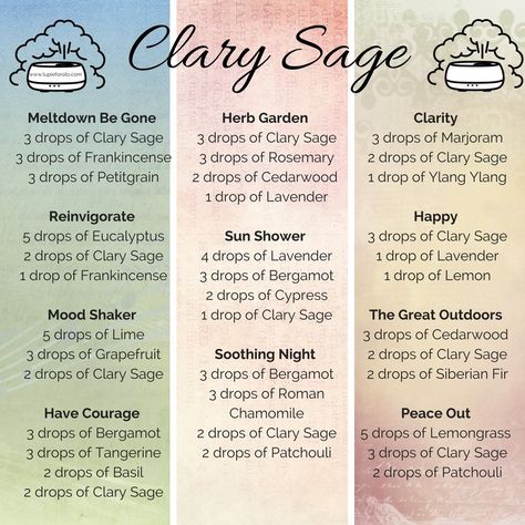 #clarysage #essentialoilblends Sage Diffuser Blends, Essential Oil Combinations, Essential Oils For Pain, Essential Oil Diffuser Blends Recipes, Clary Sage Essential Oil, Sage Oil, Sage Essential Oil, Essential Oil Diffuser Recipes, Oil Diffuser Recipes