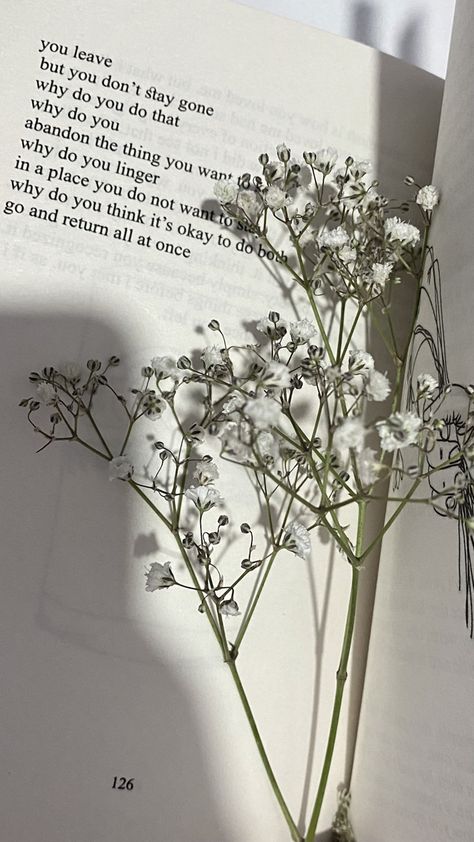 #Gypsophila #book #flower #wallpaper‌ #minimalist Gypsophila Aesthetic, Flower Wallpaper Minimalist, Gypsophila Flower, Wallpaper Minimalist, Flower Fashion, Fashion Shoot, Flower Wallpaper, Flower Necklace, Pink White