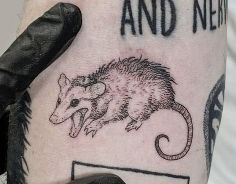 Screaming Opossum Drawing, Small Opossum Tattoo, Screaming Possum Tattoo, Possum Skull Tattoo, Screaming Possum Drawing, Opossum Tattoo Cute, Opossum Tattoo Simple, Possum Tattoo Cute, Weird Animal Tattoos