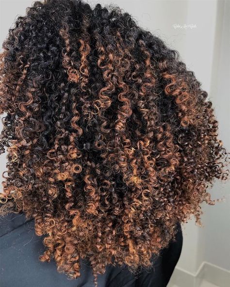 Natural Hair Balayage, Anna Character, Curl Inspiration, Curly Hair Color Ideas, Natural Hair Highlights, Curly Hair Color, Curly Highlights, Cabello Afro Natural, Dyed Curly Hair