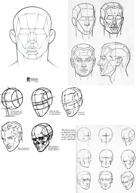 A page to help you understand the planes of the face Andrew Loomis Designs Face Structure Drawing, Draw Heads, Structure Drawing, Planes Of The Face, How To Draw Anything, Face Structure, Face Anatomy, Draw Anything, 얼굴 드로잉