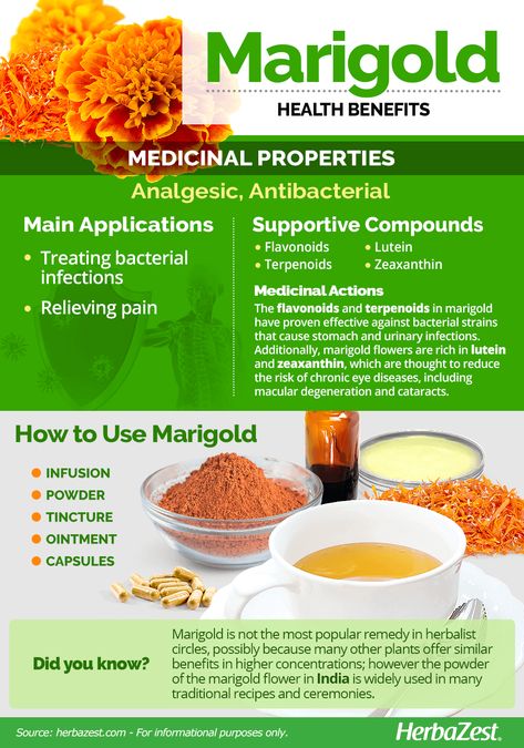 Marigold Tea, Linden Flower, Tea Health Benefits, Marigold Flower, Tea Benefits, Healing Herbs, Flower Tea, Orange Flower, Medicinal Herbs