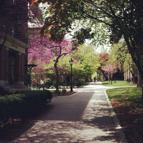 Brown University-my adviser thinks I could go here for grad school. I think he's a lil crazy University Background, Greenwich University Aesthetic, Emory University Campus, Brown University Aesthetic, Uw College Aesthetic, Pretty College Campus, Brown University Campus, Brown University, Harvard Law School