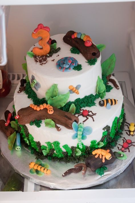 Bugs, dirt and worms — Childrens Birthday Cakes Dirt And Worms, Worm Cake, Bug Birthday Cakes, Fish Cake Birthday, Bug Cake, Theme Birthday Cake, 4th Birthday Cakes, 3rd Birthday Cakes, Butterfly Cakes