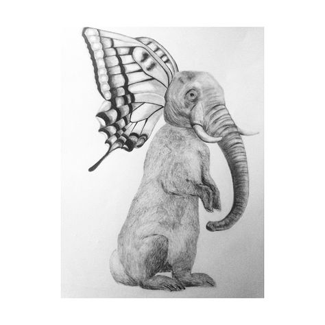 Drawing practice- hybrid animal Strange Animals Drawing, Hybrid Animal Drawings Ideas, Animal Mixes Drawing, Hybrid Animal Drawing, Mixed Animals Drawing, Animal Hybrids Drawing, Hybrid Animals Drawing, Hybrid Drawing, Animal Mashups