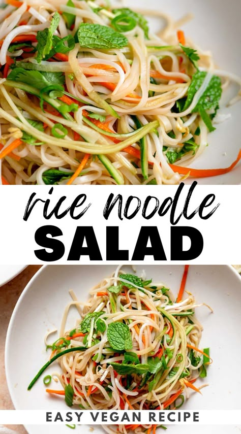 This cold Vietnamese noodle salad features crisp veggies and tangy lime dressing and takes just 15 minutes to make with simple ingredients. Rice Noodle Salad Recipes, Salad Base, Bean Sprout Recipes, Vietnamese Noodle Salad, Noodle Salad Cold, Juice Coconut, Rice Noodle Salad, Vietnamese Rice, Vietnamese Noodles