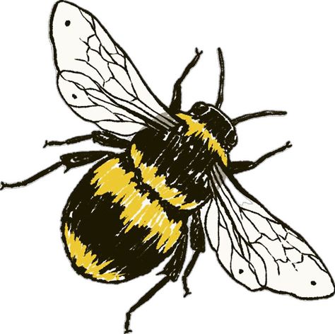 Bee Outline, Bee Sketch, Bumble Bee Art, Bee Artwork, Bee Printables, Bee Drawing, Bee Painting, Bee Illustration, I Love Bees