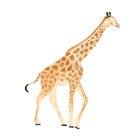 Nursery Animal Art, Chic Illustration, Sabina Fenn, Giraffe Illustration, Canvas Bag Diy, Giraffe Art, Watercolor Nursery, Minimalist Art Print, Arte Animal