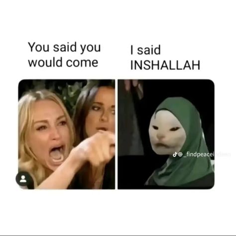 Funniest islamic memes #memes #memesdaily #meme #islamicmemes #islamicmeme #muslimah #muslim Funny Muslim Memes, Muslim Memes Funny, Islamic Humor, Islam Meme, Muslim Jokes, Halal Mode, Muslim Meme, Anime Core, Muslim Memes