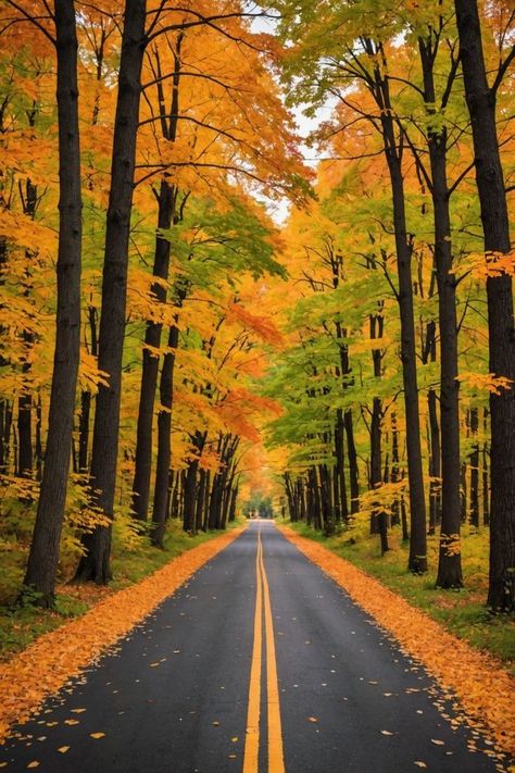 Every little thing she does is magic. Illinois Landscape Photography, Illinois Landscape, Fruits Farm, Fall Scenes, Starved Rock State Park, Starved Rock, Rock Springs, New England Fall, Autumn Foliage