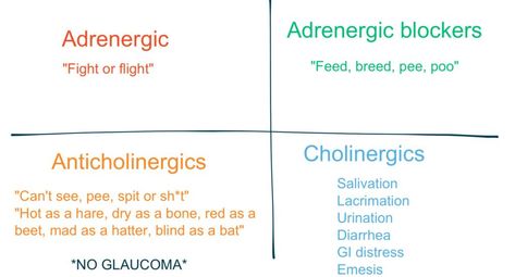 Adrenergic vs. Antiadrenergic vs. Cholinergic vs. Anticholinergic Nursing School Pharmacology, Nursing School Memes, Pharmacology Studying, Nursing School Scholarships, Nurse Practitioner School, Nursing School Prerequisites, Nursing Mnemonics, Nursing Student Tips, Pharmacology Nursing