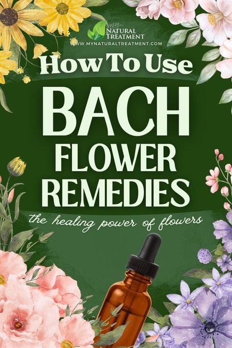 What Are Bach Flower Remedies? The 38 Bach Flower Remedies List with Uses #bach #bachremedy #bachflowerremedies #bachflowers #bachtherapy #flowertherapy #flowerremedies #floweressences Bach Flower Therapy, Bach Remedies, Healing Flowers, Bach Flowers, Flower Remedies, Miraculous Healing, Bach Flower Remedies, Flower Remedy, List Of Flowers