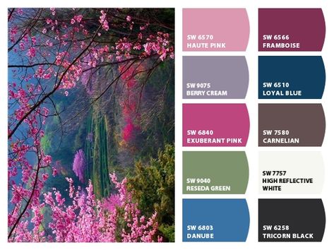 Night Garden Color Palette, Garden Color Palette, Paint Charts, Gardens Coloring Book, Color Schemes Colour Palettes, Paint Color Palettes, Night Garden, Design Seeds, Color Palette Design