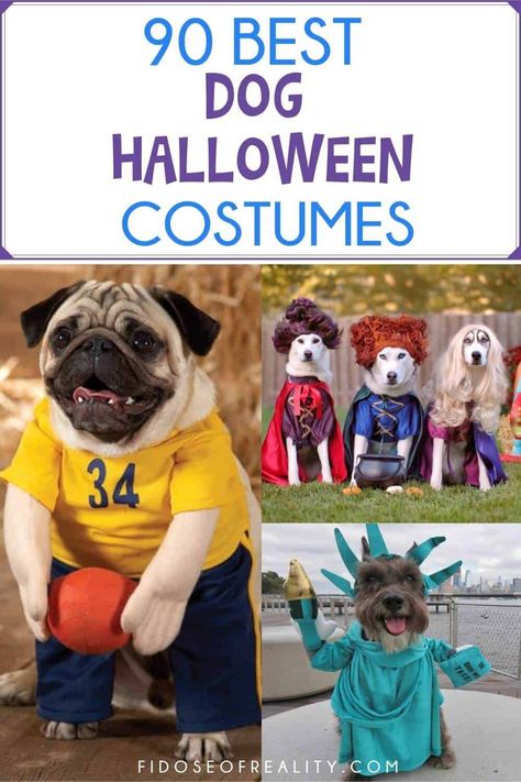 Matching Dog Halloween Costumes For 2 Dogs, Trio Dog Halloween Costumes, Group Dog Halloween Costumes, Diy Pet Halloween Costumes, Large Dog Halloween Costumes Diy, Dog Group Costumes, Easy Diy Dog Costumes For Halloween, Dog Costume Ideas For 2 Dogs, Two Dog Halloween Costumes