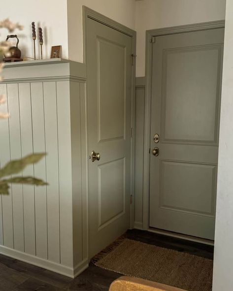 Painted Door And Trim Same Color, Painting Trim And Doors Same Color As Walls, Painted Bathroom Door, Add Trim To Door, Colored Trim And Doors, Wainscoting Paint Colors, Doors Painted Same Color As Walls, Contrasting Trim Paint, Trim And Door Colors Interior