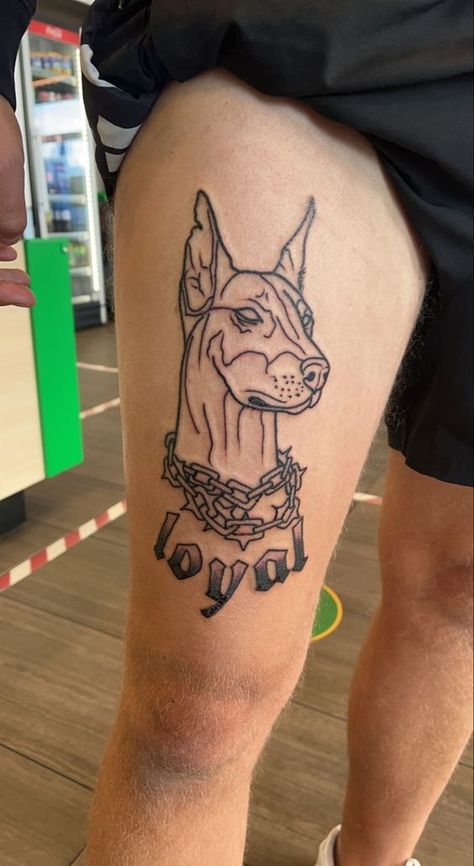 Traditional Doberman Tattoo: Tattoos have long served as a medium for people to express their passions, experiences, and ideas. Among the my Doberman Leg Tattoo, Dober Man Tattoo, Doberman Outline Tattoo, Traditional Doberman Tattoo, 3 Doberman, Geometric Animal Tattoo, Doberman Tattoo, Loyalty Tattoo, Traditional Tattoo Art