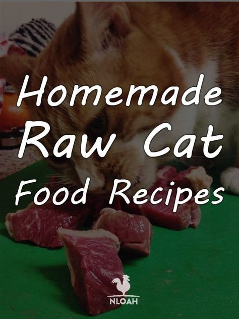 Raw feeding your cat comes with a lot of benefits, but also with some precautions. Try out our recipes at home to stay safe. Kitten Recipes, Homemade Raw Cat Food, Raw Cat Food Diet, Cat Food Recipes, Raw Cat Food, Kitty Treats, Kitty Care, Diy Cat Food, Healthy Cat Food