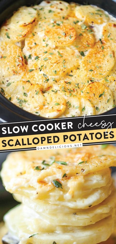 SLOW COOKER CHEESY SCALLOPED POTATOES, thanksgiving dinner recipes, potato side dishes Potato Recipes Crockpot, Slow Cooker Scalloped Potatoes, Cheesy Scalloped Potatoes Recipe, Meals Crockpot, Cheesy Scalloped Potatoes, Scalloped Potatoes Recipe, Easy Crockpot Dinners, Scalloped Potatoes Cheesy, Scalloped Potato Recipes