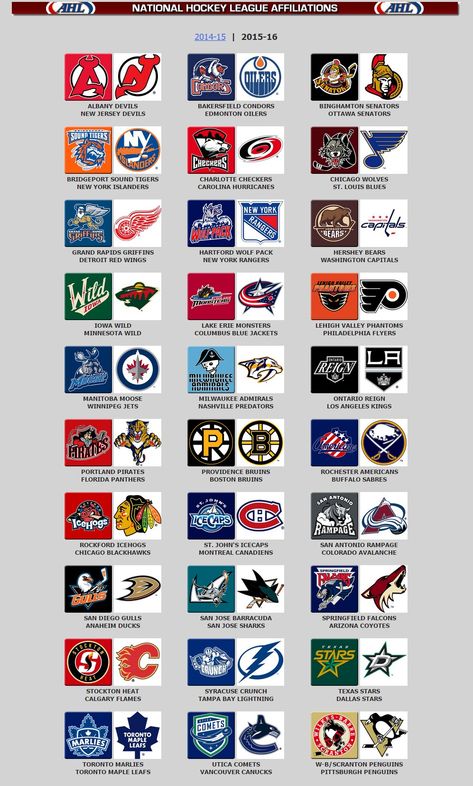 Nhl Teams Logo, Ahl Hockey, Nhl Hockey Players, Nhl Hockey Teams, Wild Hockey, Nhl Teams, Team Logo Design, Hockey Logos, Nhl Logos