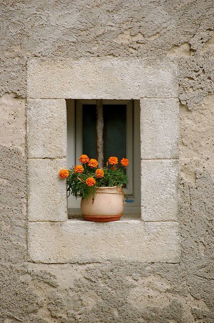 Aesthetic Nature Photography, Door Aesthetic, Window Photo, Wattpad Background, Iran Pictures, Old Paper Background, Nothing But Flowers, November 23, Aesthetic Photography Nature