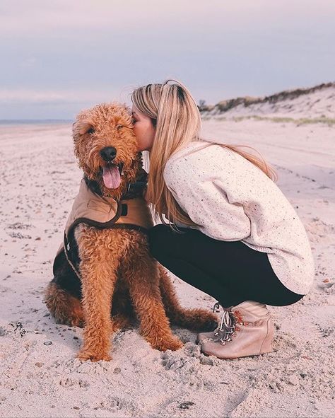 airedale terrier kisses Airedale Puppy, Airedale Terrier Puppies, Moderate Exercise, Airedale Dogs, Cool Facts, Welsh Terrier, Irish Terrier, Hypoallergenic Dogs, Paws And Claws