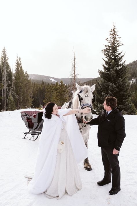 Winter sleigh ride elopement near Breckenridge, Colorado. Winter Wedding Sleigh Ride, Breckenridge Winter Wedding, Winter Sleigh Ride, Elopement Activities, Wedding In The Snowy Mountains, Winter Wedding Snow Pictures, Breckenridge Elopement, Future Pictures, Elope In Colorado