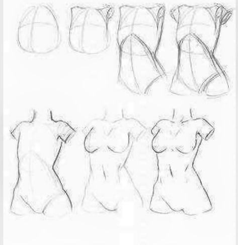 Female Body Types, Female Anatomy Reference, Body Sketches, Body Drawing Tutorial, Human Anatomy Art, Anatomy Sketches, Body Reference Drawing, Drawing Studies, Poses References