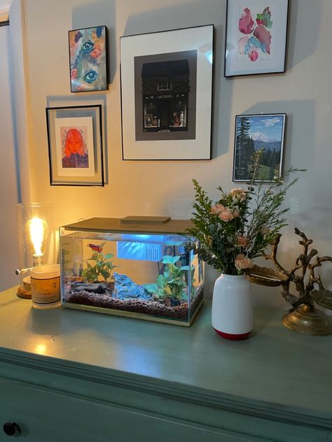 Fish In Room Aesthetic, Room Ideas With Fish Tanks, Pretty Betta Fish Tank Ideas, Fish Setup Ideas, Fish Tank On Dresser, Fish Tank In Bedroom Ideas, Fish Tank In Room Aesthetic, Fish Tank Apartment, Small Tropical Fish Tank