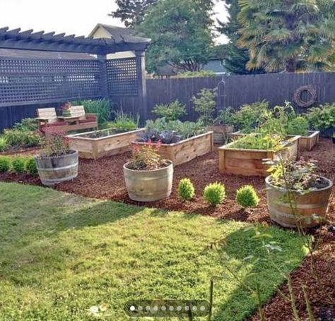 Galvanized Garden Ideas, Backyard Small Garden, Backyard Garden Beds, Garden Bed Layout, Garden Goals, Backyard Garden Layout, Potager Garden, Garden Veggies, Veg Garden