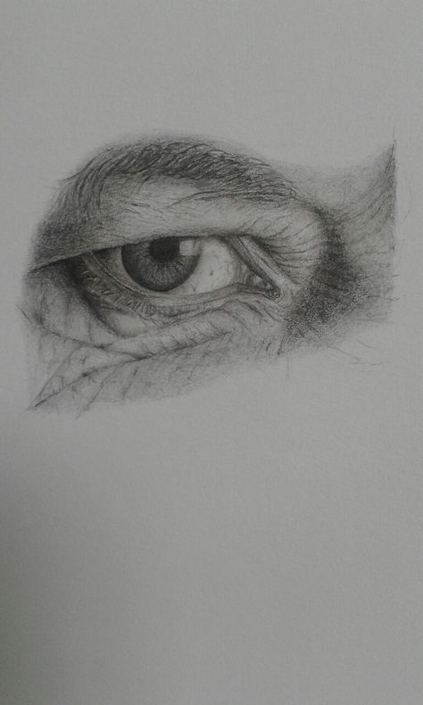 Charcoal Eye Drawing, Eye Base Drawing, Drawing Ideas Eyes, Drawing Wrinkles, Pencil Portrait Drawing, Base Drawing, Eyes Artwork, Eye Base, Black And White Art Drawing