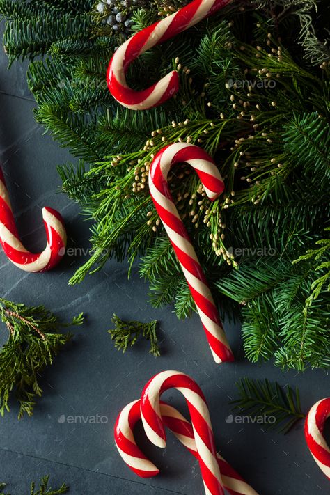 Homemade Candy Canes, Noel Ornament, Make Your Own Candy, Candy Homemade, Christmas Candy Homemade, Christmas Stock Photos, Festive Food, Background Bright, Homemade Candy