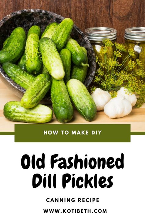 Best Dill Pickle Recipe, Crunchy Dill Pickle Recipe, Crispy Dill Pickle Recipe, Crispy Dill Pickles, Pickles Homemade Easy, Canning Garden, Making Dill Pickles, Refrigerator Pickles Dill, Garlic Dill Pickles