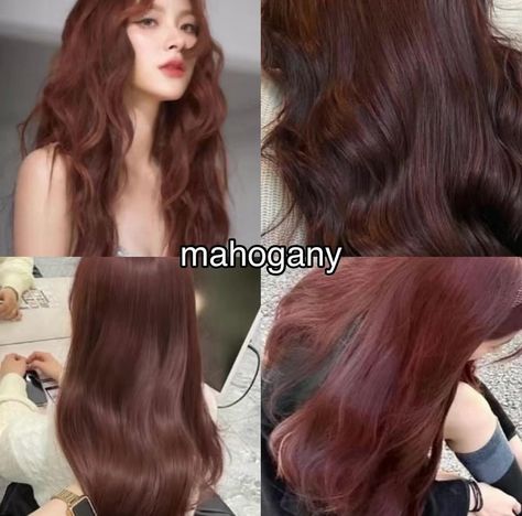 Henna Colored Hair, Cherry Auburn Hair Color, Asian Hair Colour Ideas, Dark Ginger Hair Asian, Cassis Pink Hair, Light Brown Hair With Red Tint, Dark Natural Red Hair, Cherry Coke Hair Color Brown, No Bleach Hair Color For Dark Hair