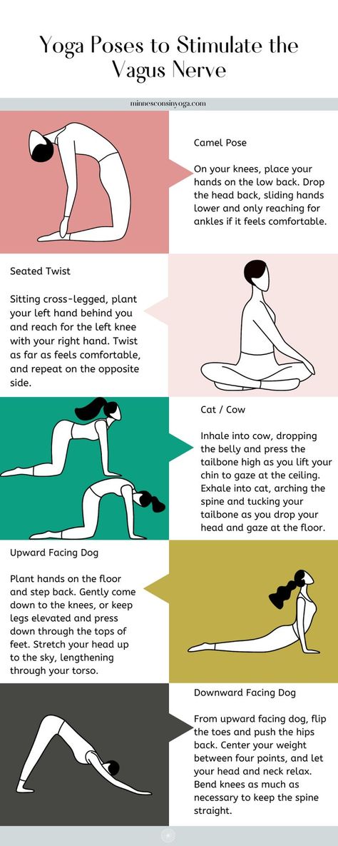 Yoga poses to stimulate the vagus nerve Nervus Vagus, The Vagus Nerve, Nerve Health, Poses For Beginners, Healing Yoga, Vagus Nerve, Mental Energy, Easy Yoga Workouts, Boost Your Energy