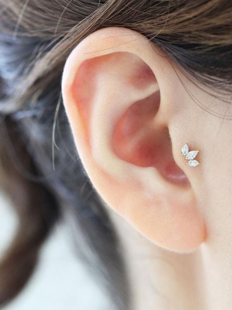 Baby Ear Piercing, Piercing Party, Mini Tiara, Tragus Piercing Jewelry, Ear Piercings Helix, 18th Bday, Tragus Jewelry, Cartilage Piercings, Cartilage Jewelry