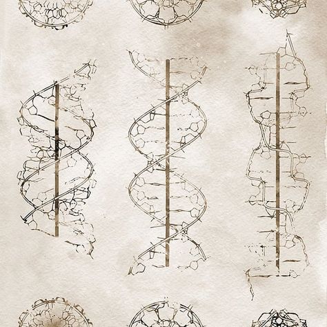 Dna Helix Art, Dna Aesthetic Biology, Genes Aesthetic, Genetic Engineering Aesthetic, Genetics Poster, Dna Infographic, Biochemistry Art, Genetics Aesthetic, Dna Aesthetic