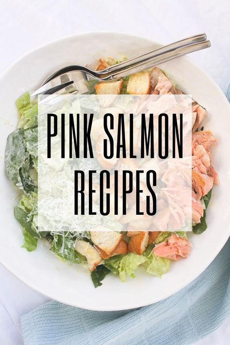 Love seafood, but wish it was more affordable? These pink salmon recipes use the most budget-friendly type of Wild Pacific salmon! Fresh Pink Salmon Recipes, Can Pink Salmon Recipes, Pink Salmon Fillets Recipes, Smoked Pink Salmon Recipes, Packaged Salmon Recipes, Recipes Using Canned Pink Salmon, Chicken Of The Sea Pink Salmon Recipes, Whole Pink Salmon Recipes, Baked Pink Salmon Recipes