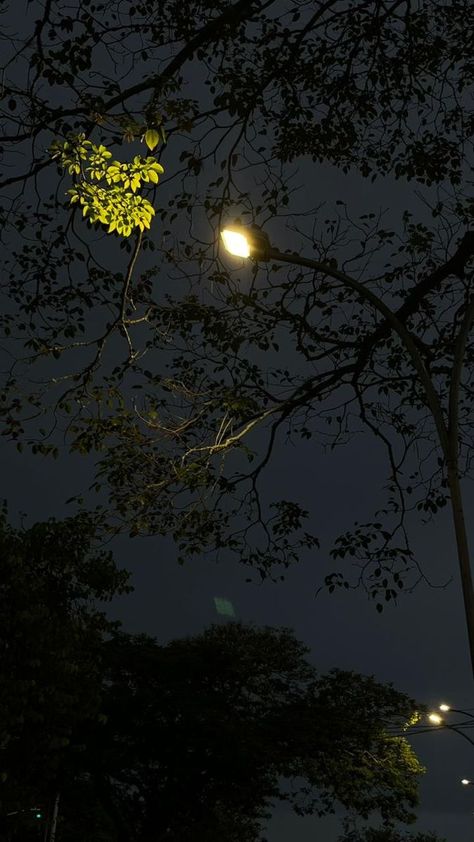 Moonlight Photography, Sky Night, Sky Photography Nature, Shadow Photography, Night Moon, Nature Instagram, Sky Pictures, Night Scenery, Night Landscape