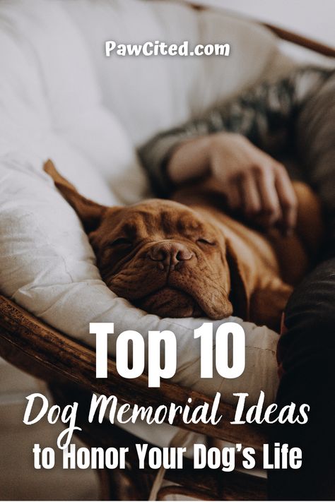 Remembering Dog Ideas, Honor Dog Passing, Dog Momentos, Ways To Remember Your Dog, Dog Memory Ideas, Dead Dog, Dog Died, Pet Paws, Losing A Pet