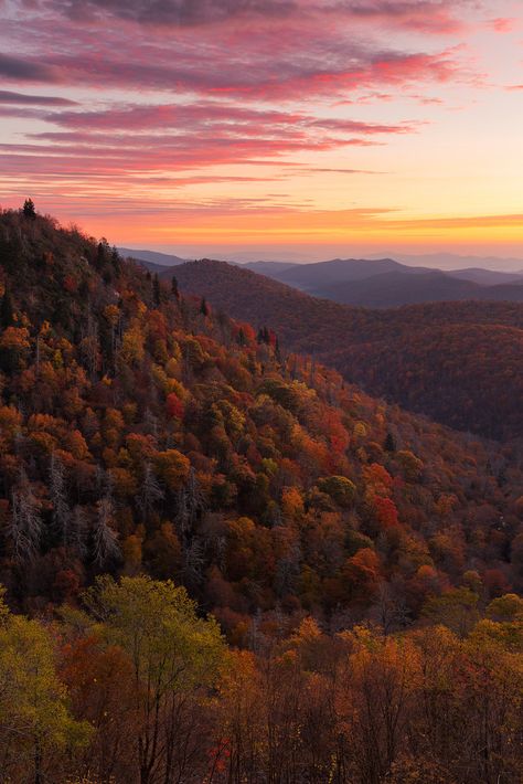 Shenandoah Mountains, Vertical Composition, Sunrise Images, Mountain Aesthetic, Sunrise Colors, Pisgah National Forest, Western Nc, Colorful Sunset, North Carolina Mountains