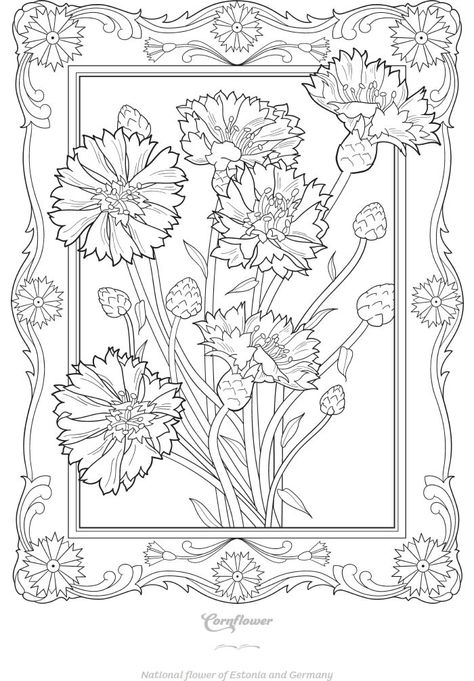 Welcome to Dover Publications Roses And Sunflowers, Dover Coloring Pages, Dover Publications, Relaxing Activities, Flower Coloring Pages, Bird Drawings, Activity Sheets, Travel The World, Mandala Coloring